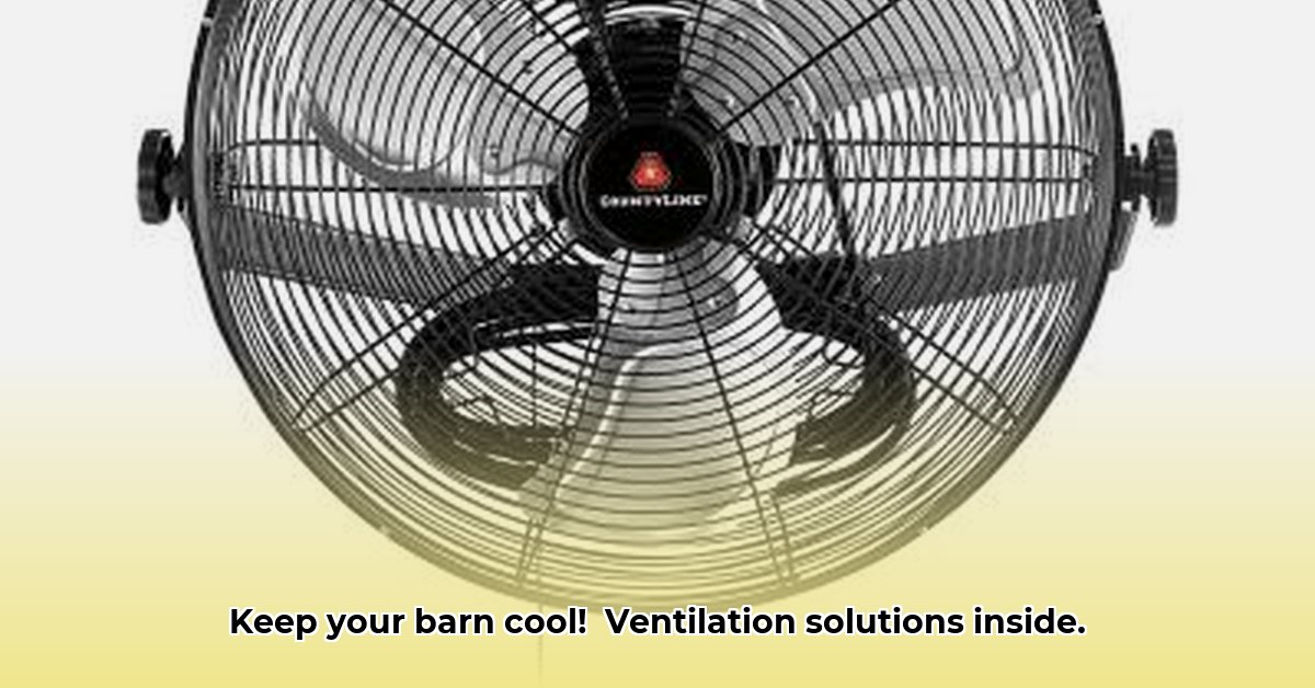 tractor-supply-barn-fans